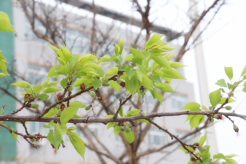 山東黄瓜视频污污在线观看智能裝備有限公司園區一角